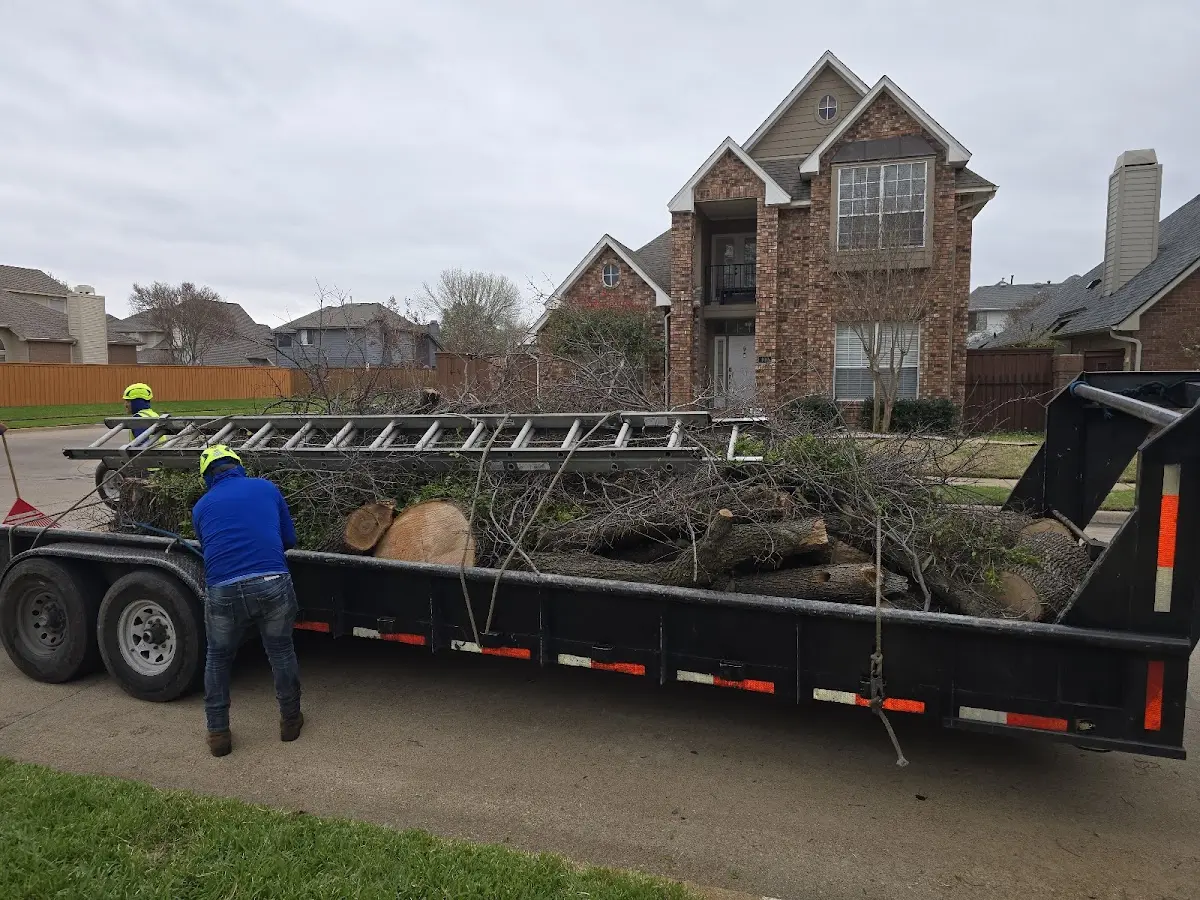 Expert Crown Reduction with proper safety equipment in Houston
